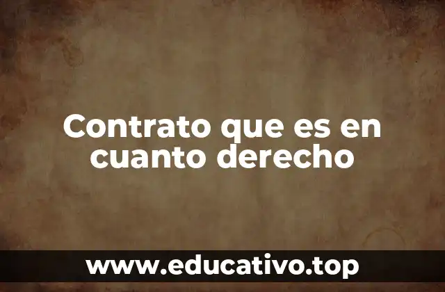 La importancia del contrato en el sistema jurídico
