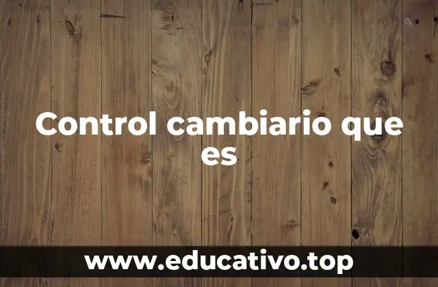 Control cambiario que es