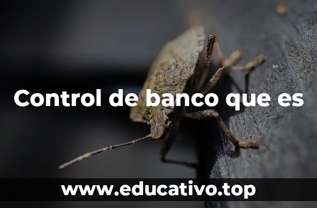 Control de banco que es