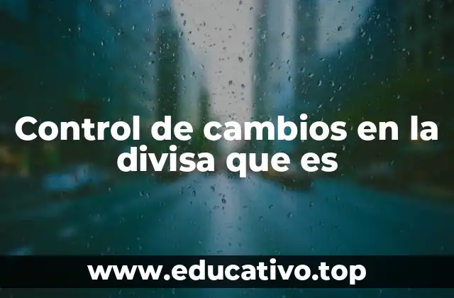 Control de cambios en la divisa que es