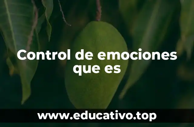 Control de emociones que es