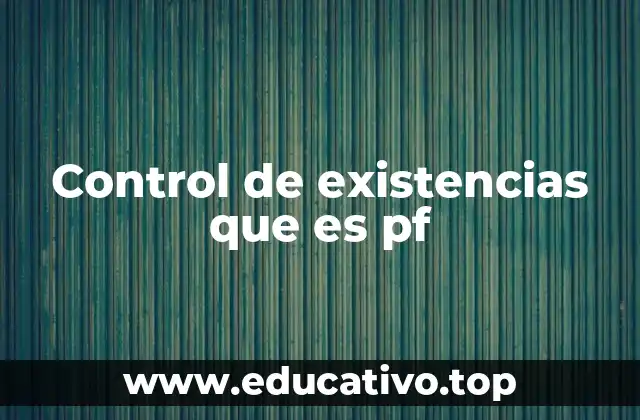 Control de existencias que es pf
