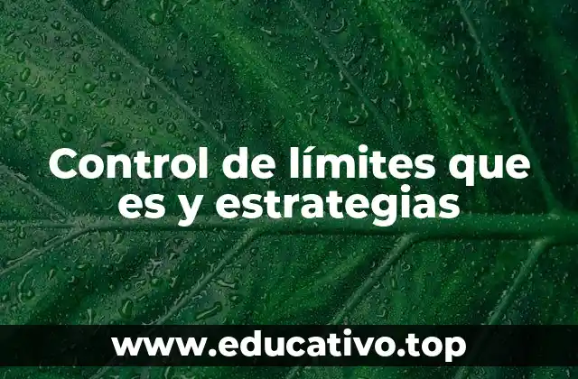 Control de límites que es y estrategias