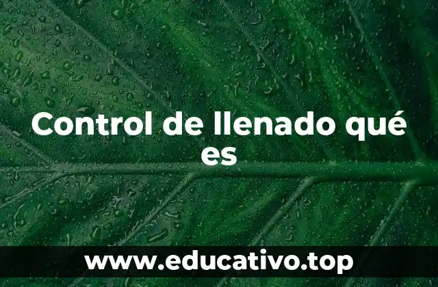 Control de llenado qué es
