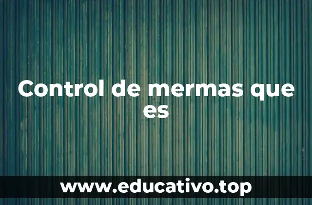 Control de mermas que es