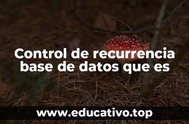 Control de recurrencia base de datos que es