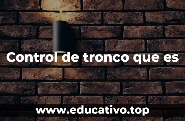 Control de tronco que es