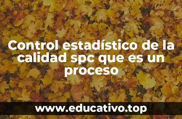 Control estadístico de la calidad spc que es un proceso