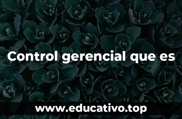 Control gerencial que es