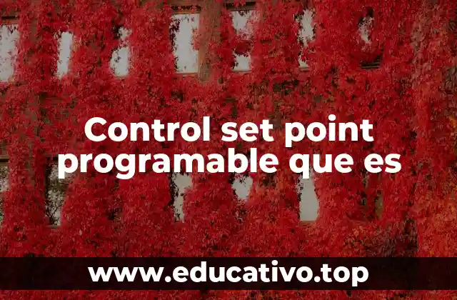 Control set point programable que es