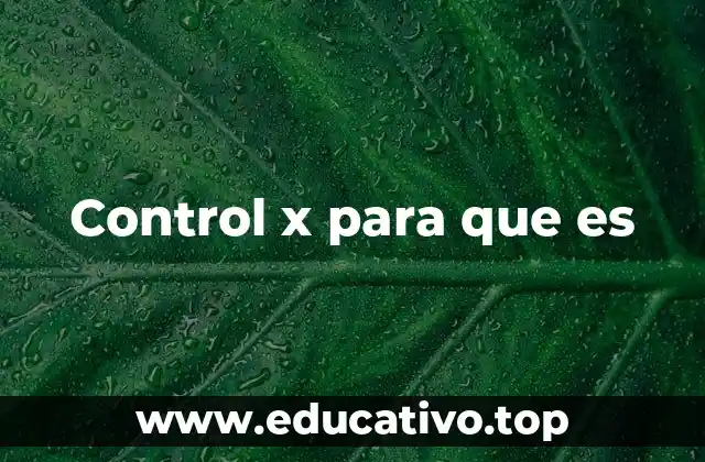 Control x para que es