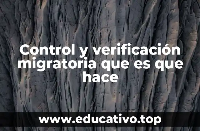 Control y verificación migratoria que es que hace