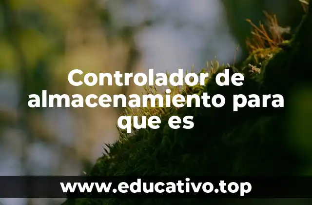 Controlador de almacenamiento para que es