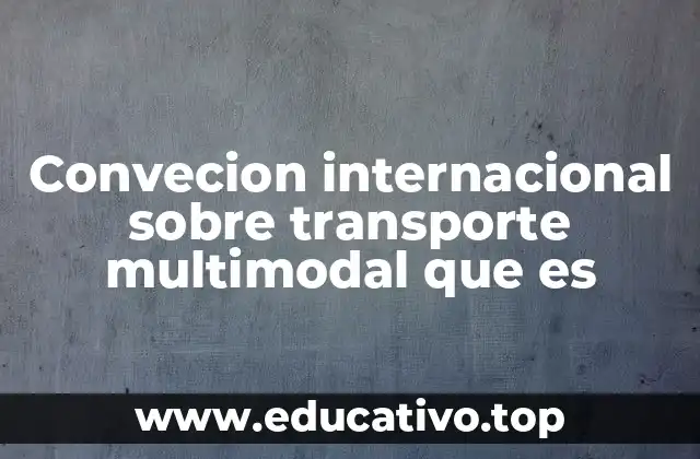 Convecion internacional sobre transporte multimodal que es