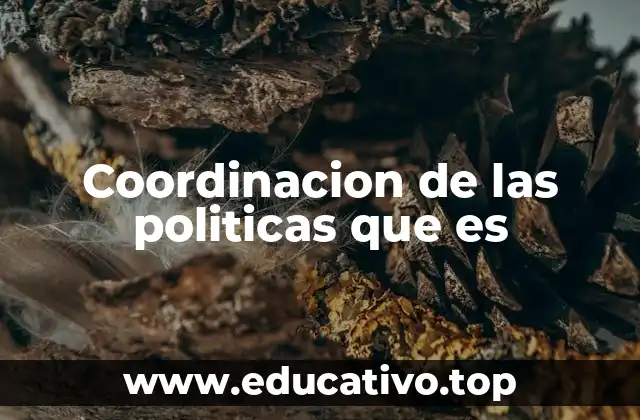 Coordinacion de las politicas que es