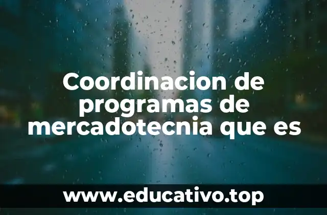 Coordinacion de programas de mercadotecnia que es