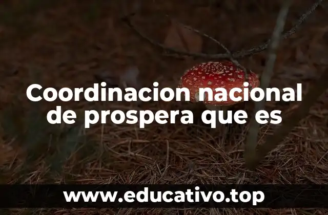 Coordinacion nacional de prospera que es