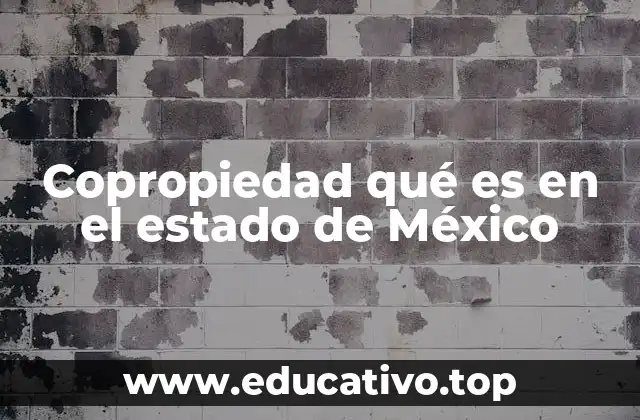 Copropiedad qué es en el estado de México