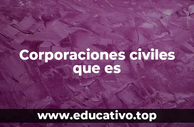 Corporaciones civiles que es