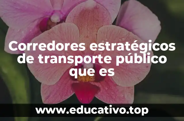 Corredores estratégicos de transporte público que es