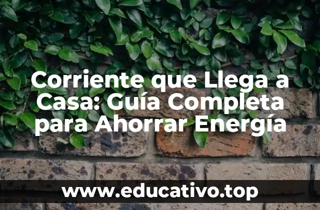 Corriente que Llega a Casa: Guía Completa para Ahorrar Energía