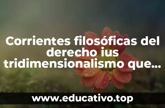 Corrientes filosóficas del derecho ius tridimensionalismo que es