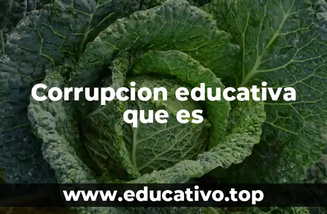 Corrupcion educativa que es