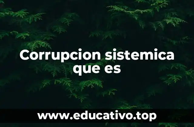 Corrupcion sistemica que es