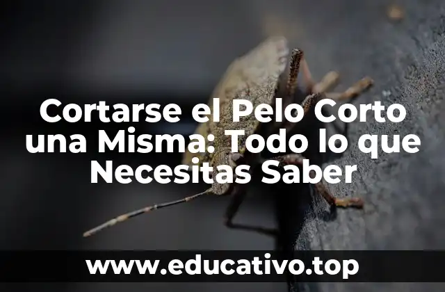 Cortarse el Pelo Corto una Misma: Todo lo que Necesitas Saber