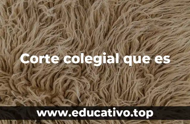 Corte colegial que es