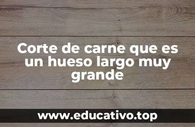 Corte de carne que es un hueso largo muy grande