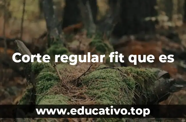 Corte regular fit que es