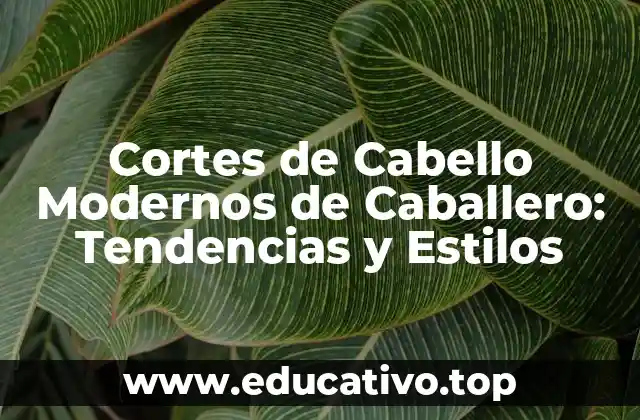 Cortes de Cabello Modernos de Caballero: Tendencias y Estilos
