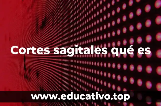 Cortes sagitales qué es