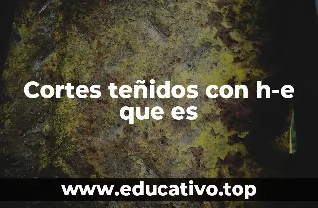 Cortes teñidos con h-e que es