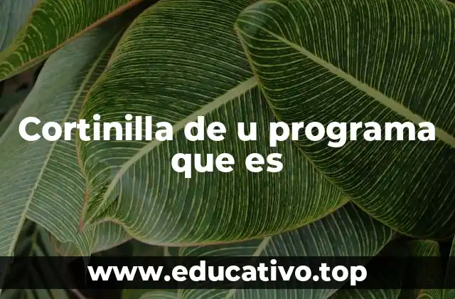 Cortinilla de u programa que es