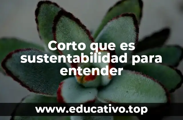 Corto que es sustentabilidad para entender