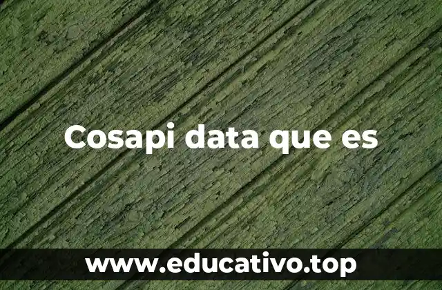 Cosapi data que es
