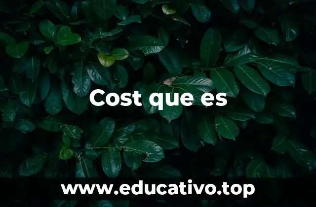 Cost que es