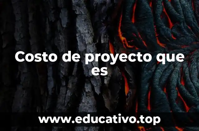 Cómo se estructura el costo total de una iniciativa