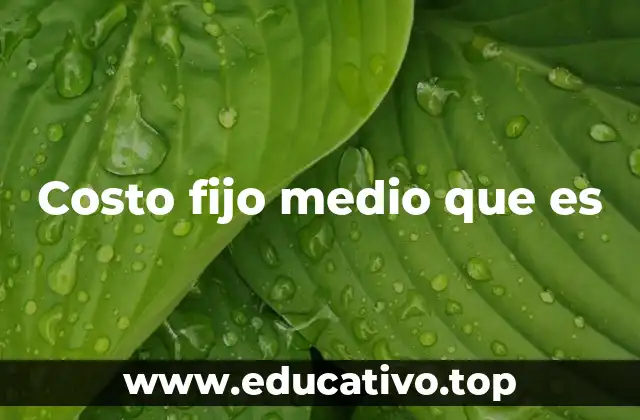 Costo fijo medio que es
