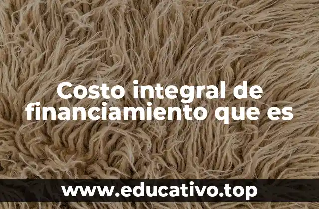 Costo integral de financiamiento que es