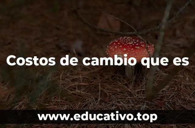 Costos de cambio que es