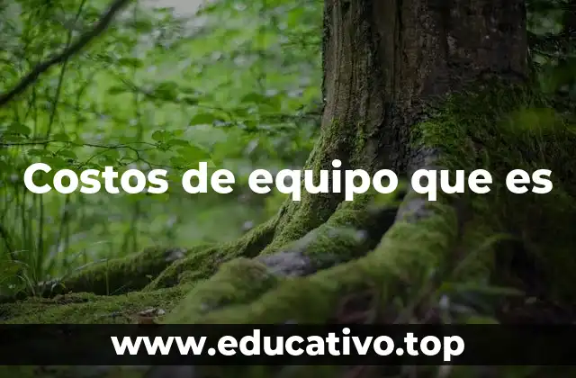 Costos de equipo que es