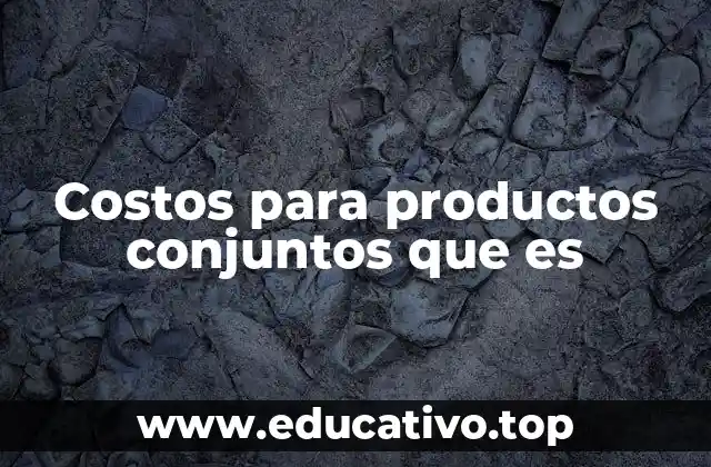 Costos para productos conjuntos que es