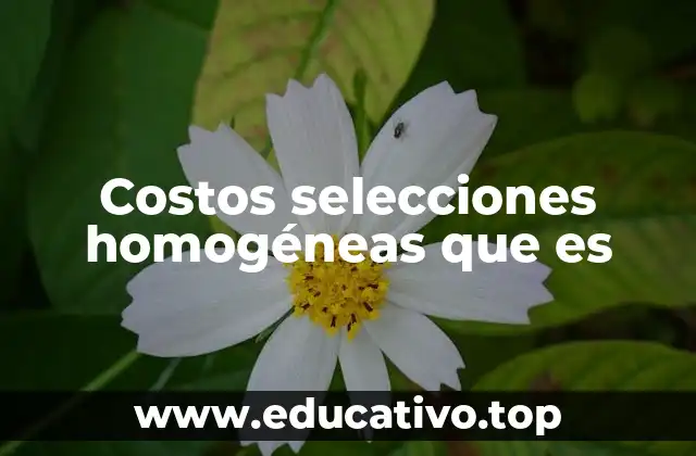 Costos selecciones homogéneas que es