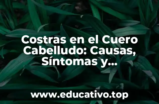 Costras en el Cuero Cabelludo: Causas, Síntomas y Tratamientos