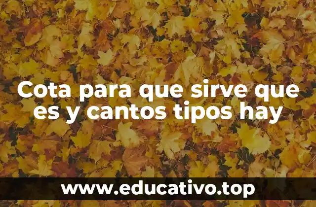 Cota para que sirve que es y cantos tipos hay