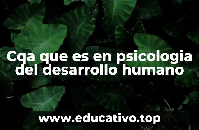 Cqa que es en psicologia del desarrollo humano