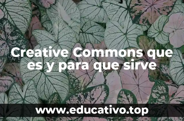 Creative Commons que es y para que sirve